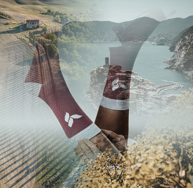 CMS-Banner-03.jpg